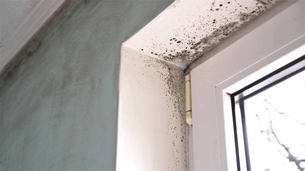 Water Damage Restoration in North Lynnwood, WA