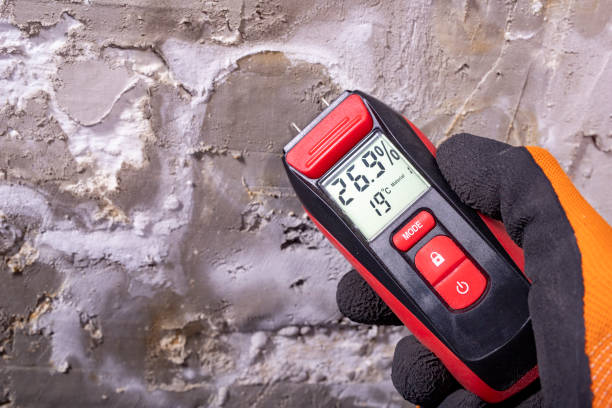 Best Toxic Mold Removal  in North Lynnwood, WA
