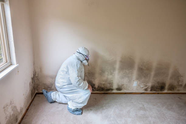Best Mold Testing  in North Lynnwood, WA