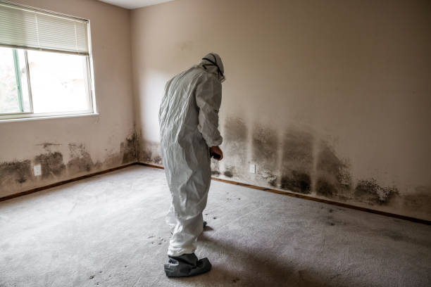 Best Crawl Space Mold Removal  in North Lynnwood, WA